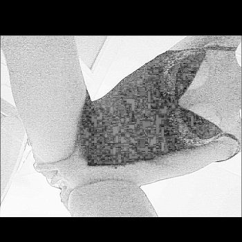 Chryslaine - Fürstenau - Grisons | Annonce Rencontre