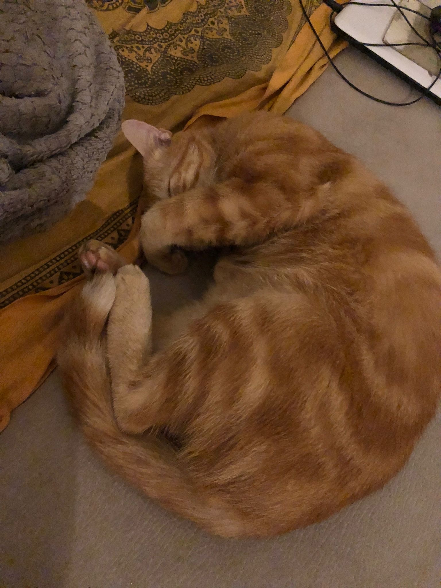 Suraj - Allens - Vaud | Annonce Rencontre