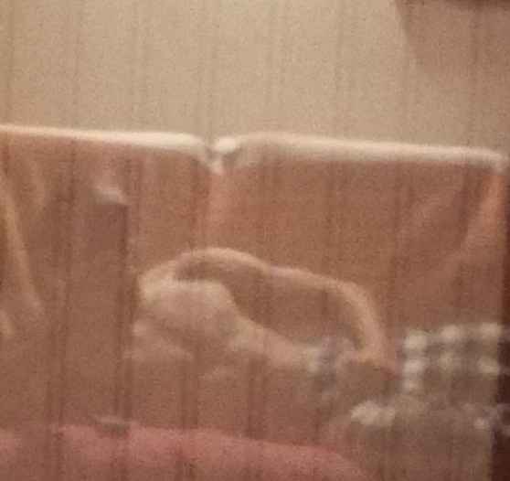 Alliaume - Trey - Vaud | Annonce Rencontre