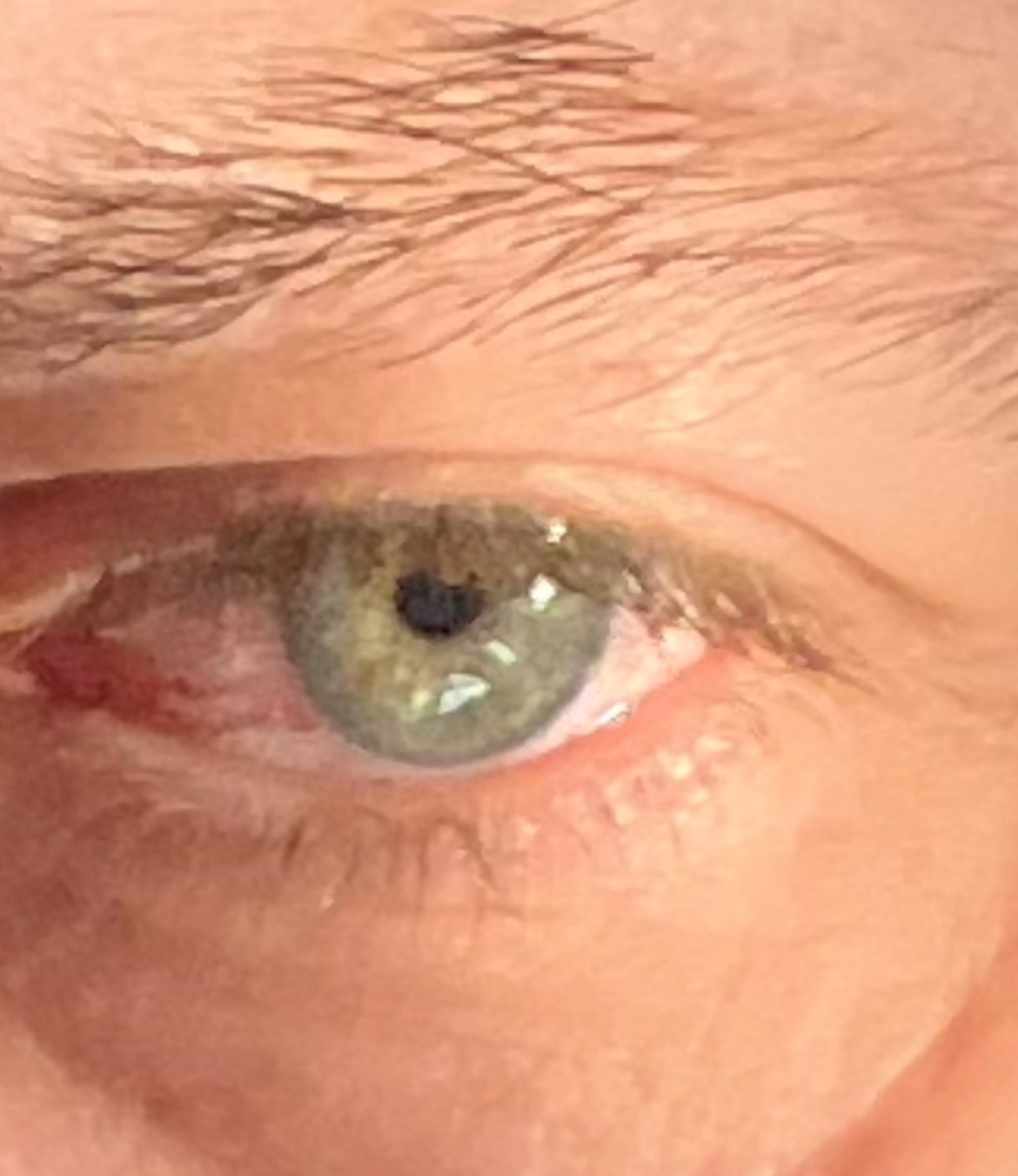 Cristian - Elfingen - Argovie | Annonce Rencontre