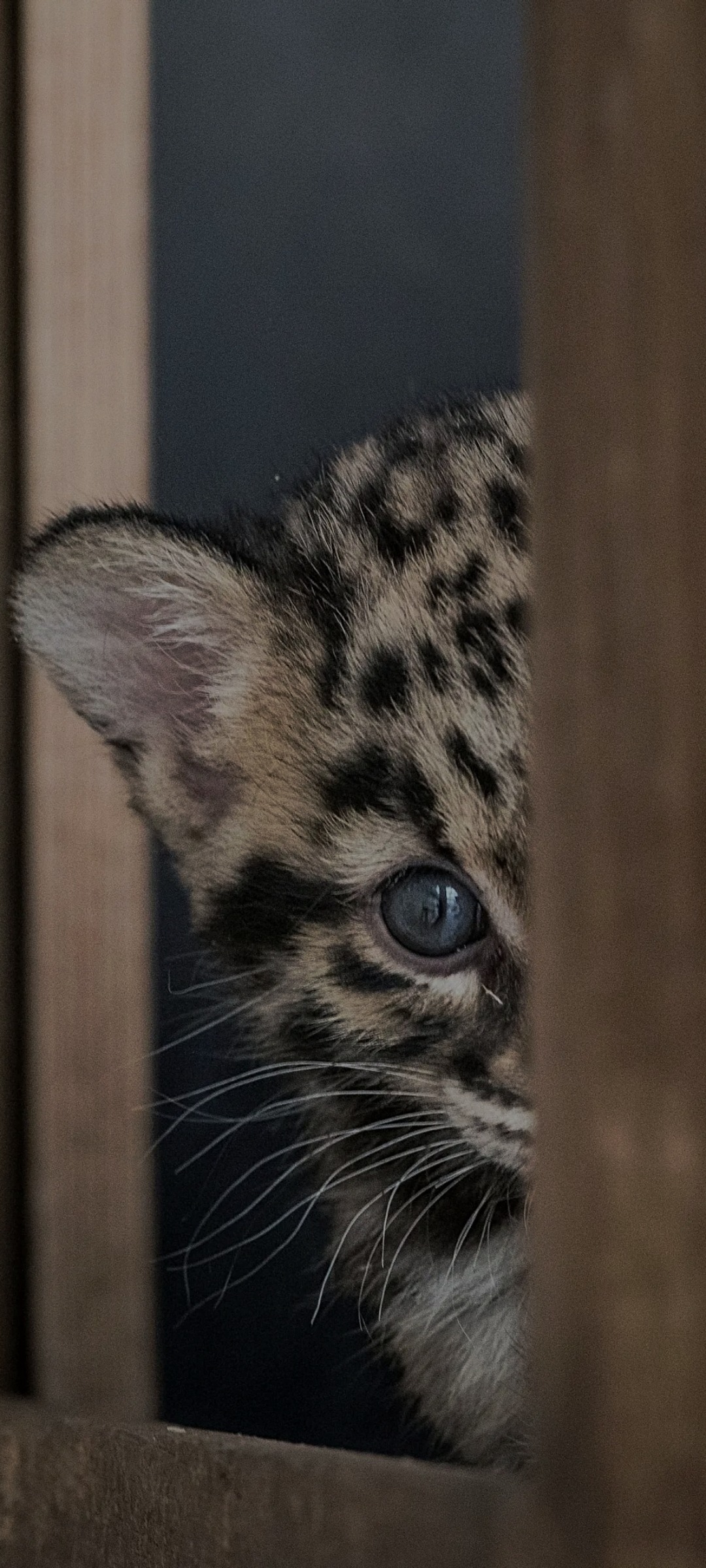 Vyns - Termen - Valais | Annonce Rencontre