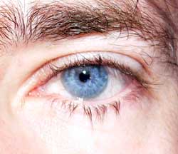 Cornelis - Montagny-la-Ville - Fribourg | Annonce Rencontre