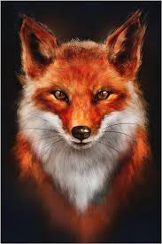 Maryus - Aeschau - Berne | Annonce Rencontre